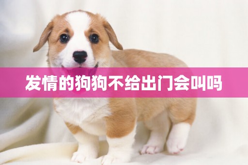 發情的狗狗不給出門會叫嗎