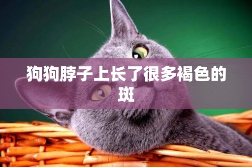 狗狗脖子上長了很多褐色的斑