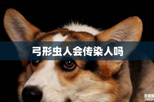 弓形蟲人會傳染人嗎