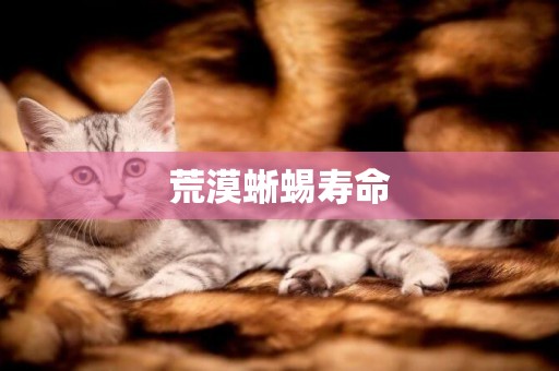 荒漠蜥蜴壽命