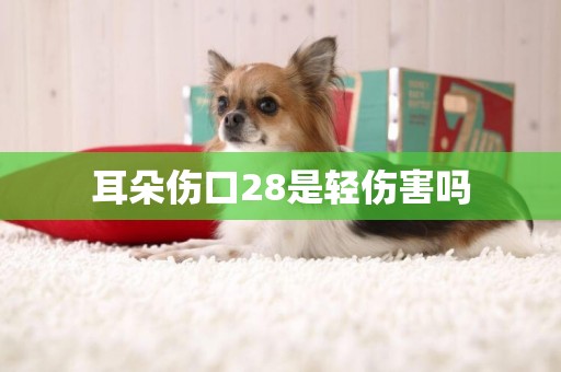 耳朵傷口28是輕傷害嗎