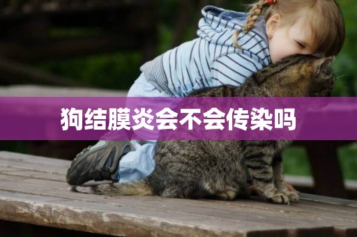 狗結膜炎會不會傳染嗎