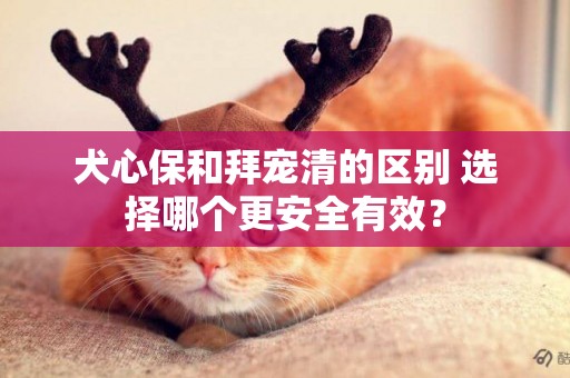 犬心保和拜寵清的區別 選擇哪個更安全有效？