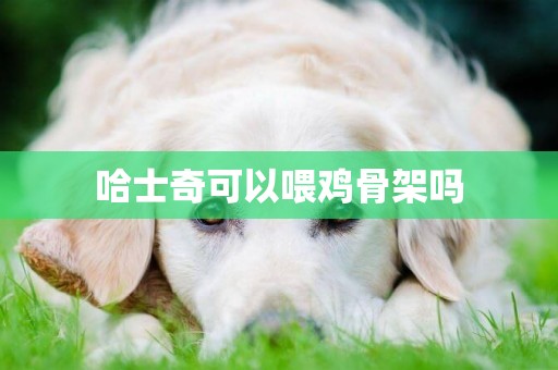 哈士奇可以喂雞骨架嗎
