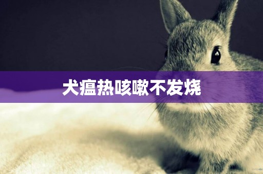 犬瘟熱咳嗽不發燒