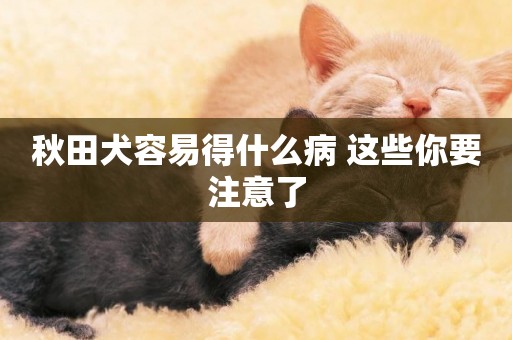 秋田犬容易得什么病 這些你要注意了