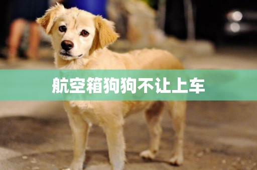 航空箱狗狗不讓上車