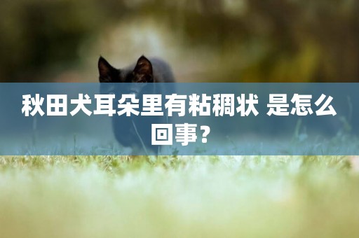 秋田犬耳朵里有粘稠狀 是怎么回事？