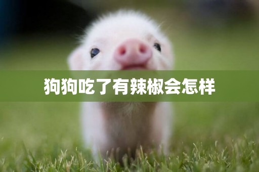 狗狗吃了有辣椒會怎樣