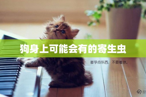 狗身上可能會有的寄生蟲