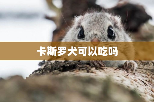 卡斯羅犬可以吃嗎