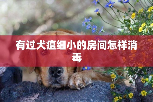 有過犬瘟細小的房間怎樣消毒
