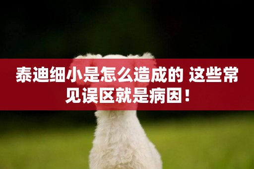 泰迪細小是怎么造成的 這些常見誤區就是病因！