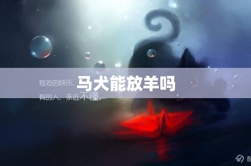 馬犬能放羊嗎