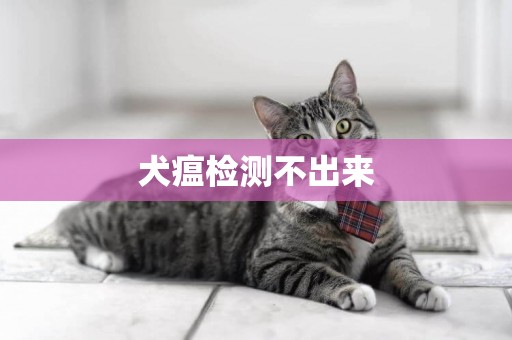 犬瘟檢測不出來