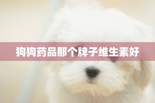 狗狗藥品那個牌子維生素好