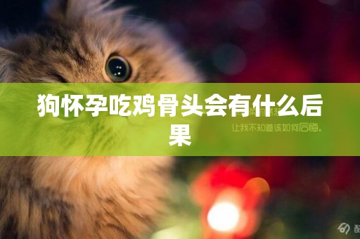 狗懷孕吃雞骨頭會有什么后果