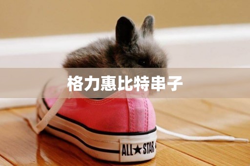 格力惠比特串子