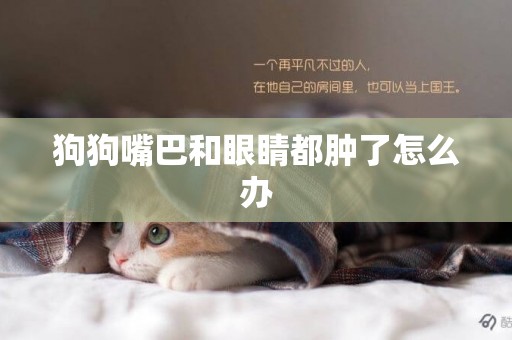 狗狗嘴巴和眼睛都腫了怎么辦