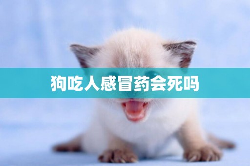 狗吃人感冒藥會死嗎