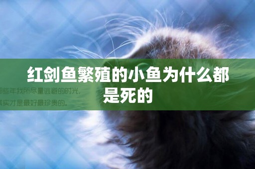 紅劍魚繁殖的小魚為什么都是死的