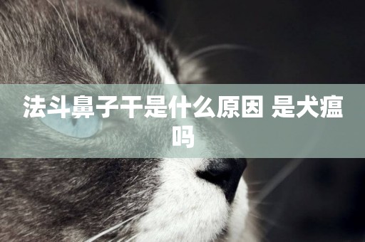 法斗鼻子干是什么原因 是犬瘟嗎