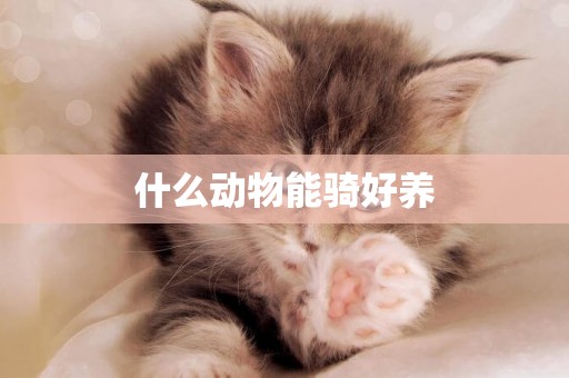 什么動物能騎好養