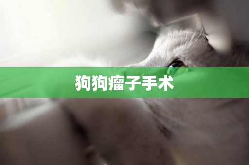 狗狗瘤子手術