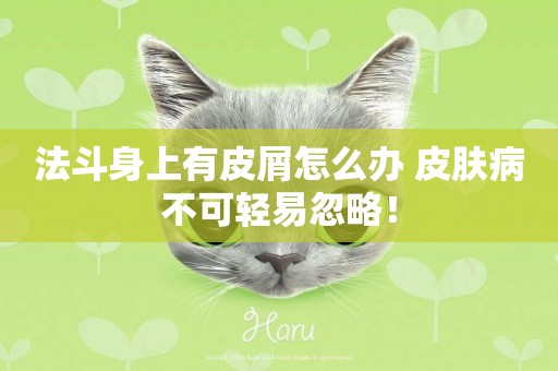 法斗身上有皮屑怎么辦 皮膚病不可輕易忽略！