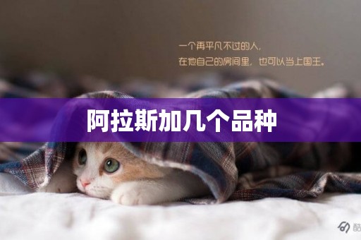 阿拉斯加幾個品種