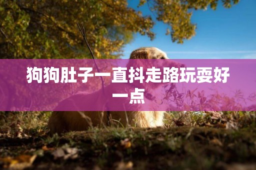狗狗肚子一直抖走路玩耍好一點