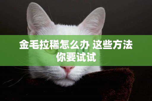 金毛拉稀怎么辦 這些方法你要試試