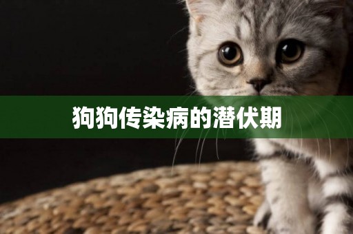 狗狗傳染病的潛伏期