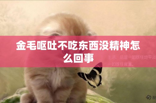 金毛嘔吐不吃東西沒精神怎么回事