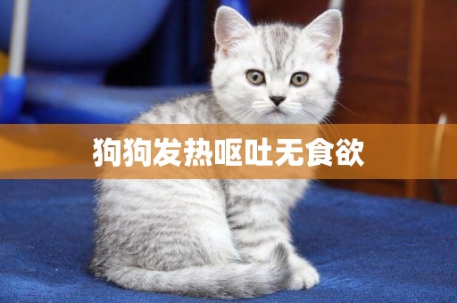 狗狗發熱嘔吐無食欲