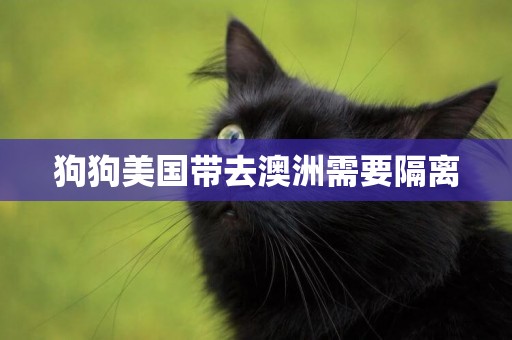 狗狗美國帶去澳洲需要隔離