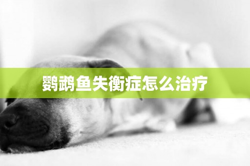 鸚鵡魚失衡癥怎么治療