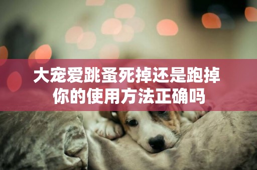 大寵愛跳蚤死掉還是跑掉 你的使用方法正確嗎