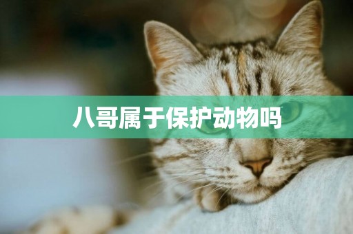 八哥屬于保護動物嗎