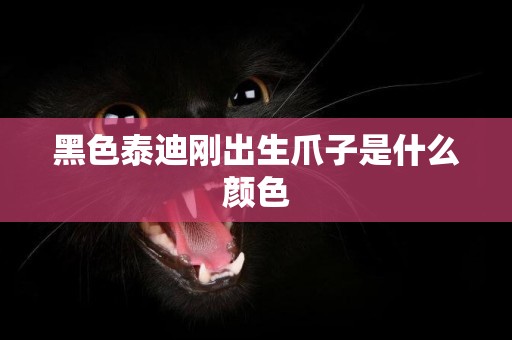 黑色泰迪剛出生爪子是什么顏色
