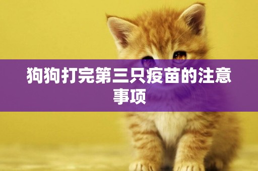 狗狗打完第三只疫苗的注意事項