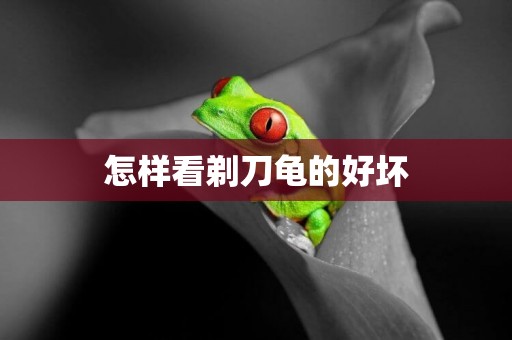 怎樣看剃刀龜的好壞