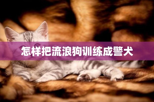 怎樣把流浪狗訓練成警犬