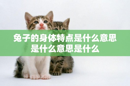 兔子的身體特點是什么意思是什么意思是什么