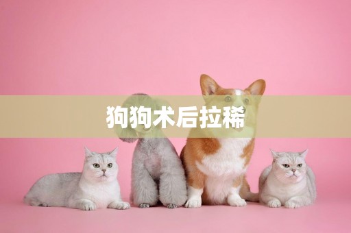 狗狗術后拉稀