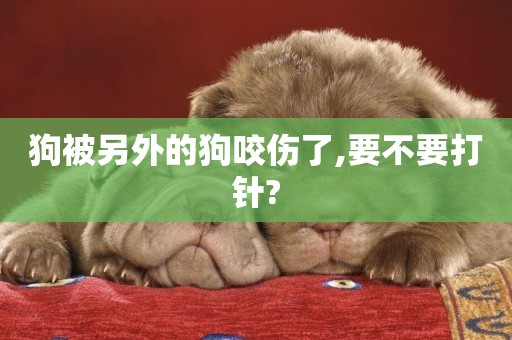 狗被另外的狗咬傷了,要不要打針?