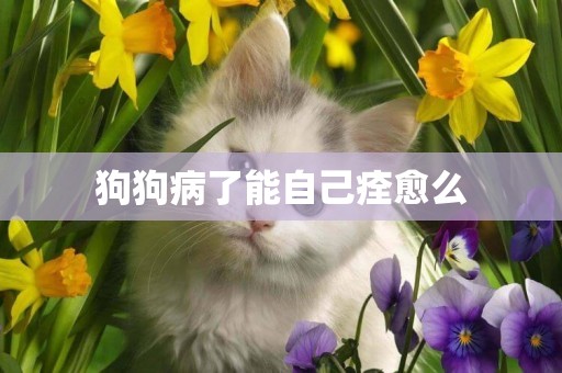 狗狗病了能自己痊愈么