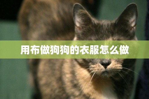 用布做狗狗的衣服怎么做