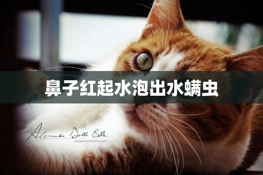 鼻子紅起水泡出水螨蟲