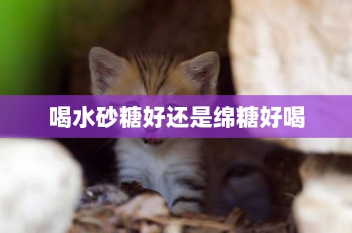 喝水砂糖好還是綿糖好喝